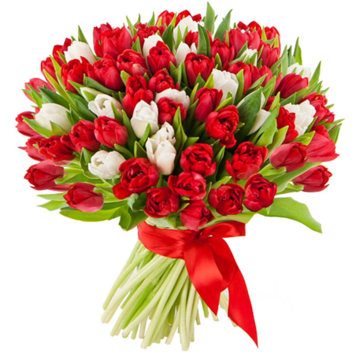 РЕЖИМ РАБОТЫ 7, 8 марта 2026 года